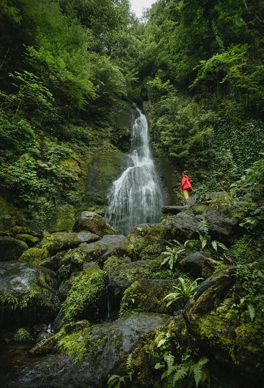 116151101 3127071487400209 7650833342542158048 N 7 days in Western Georgia – group tour from Batumi