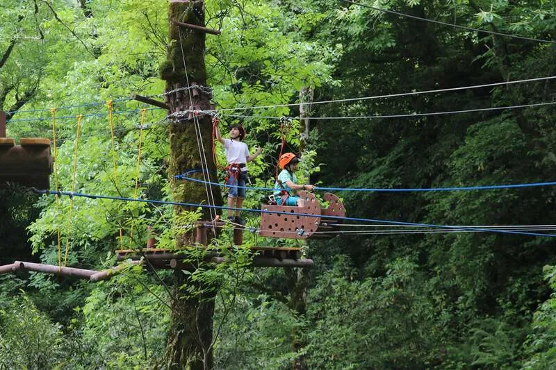 170245437 3824093554364662 7203940285257869880 N Batumi, Waterfalls & Folklore – 2 days tour from Kutaisi