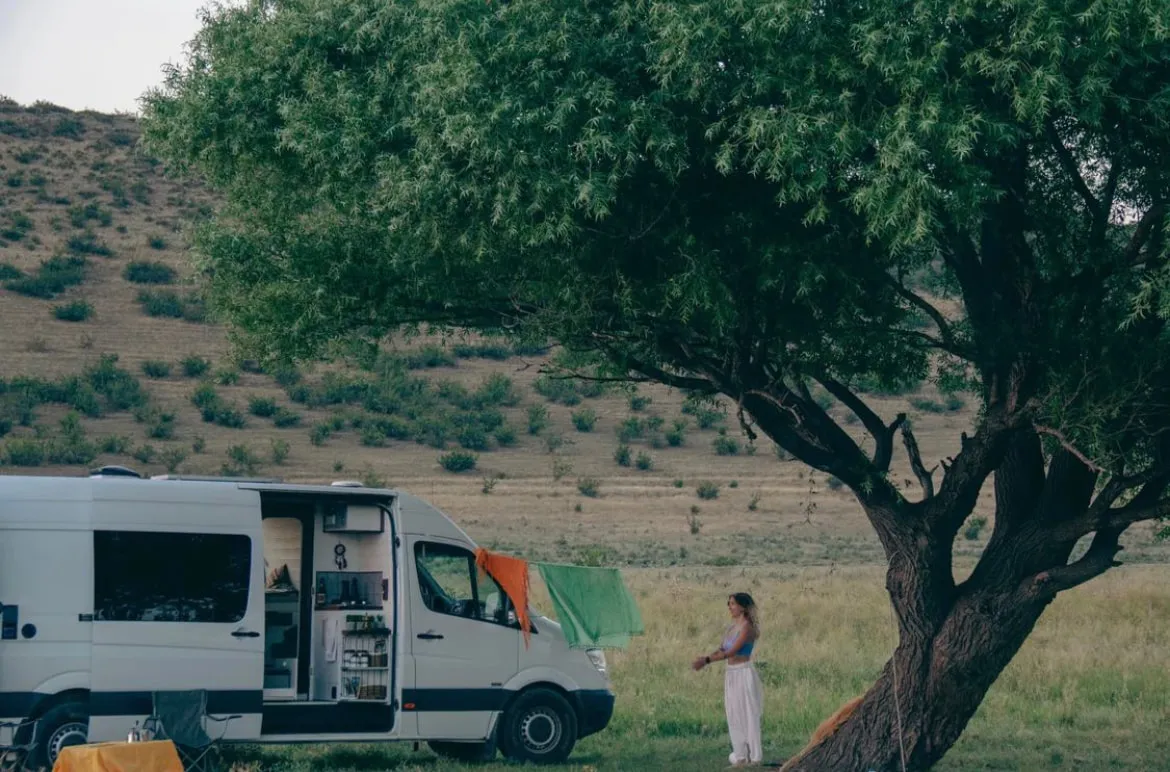 Camping At The Tree CAMPERVAN EXPEDITION 