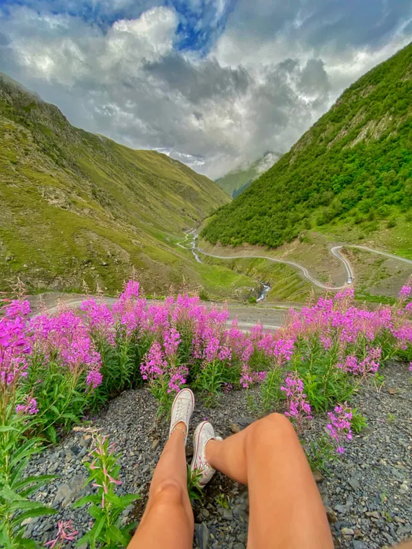 Flowers On The Way To Tusheti 1 Tusheti – 3 days group tour from Kutaisi